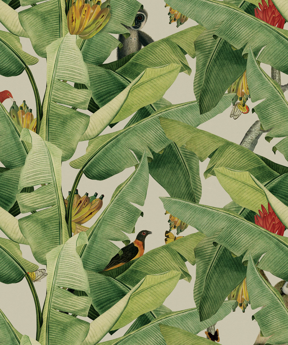 Jungle Fever, Banana Leaf Wallpaper, Tropical Design • Milton & King AUS