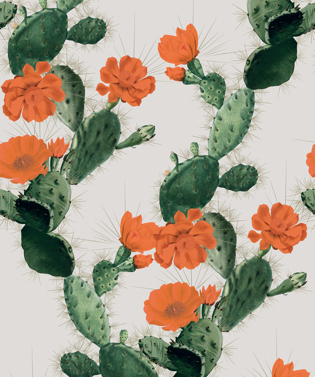 fax Brawl Stadscentrum Cactus Wallpaper • Bold Alluring Cacti Design • Milton & King