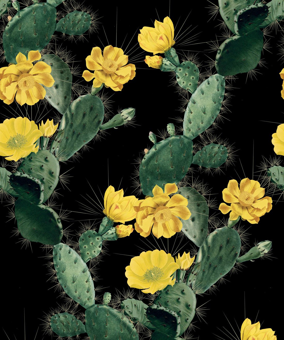 Cactus Wallpaper • Kingdom Home • Yellow Night • Swatch