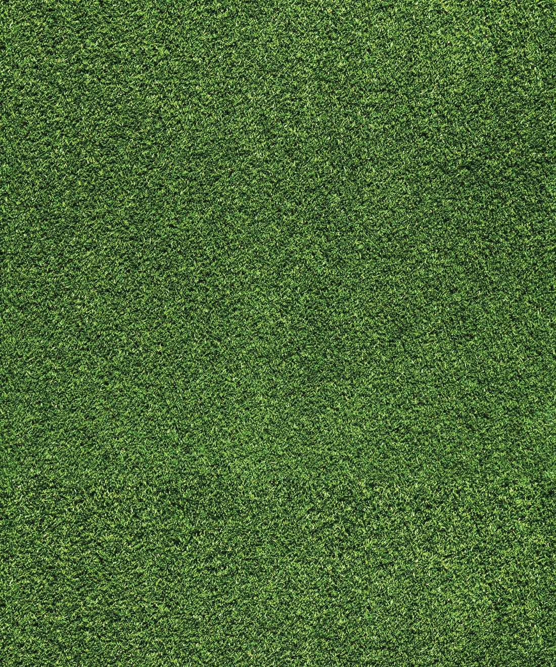 Memphis Artificial Grass Experts Artificial Grass Company