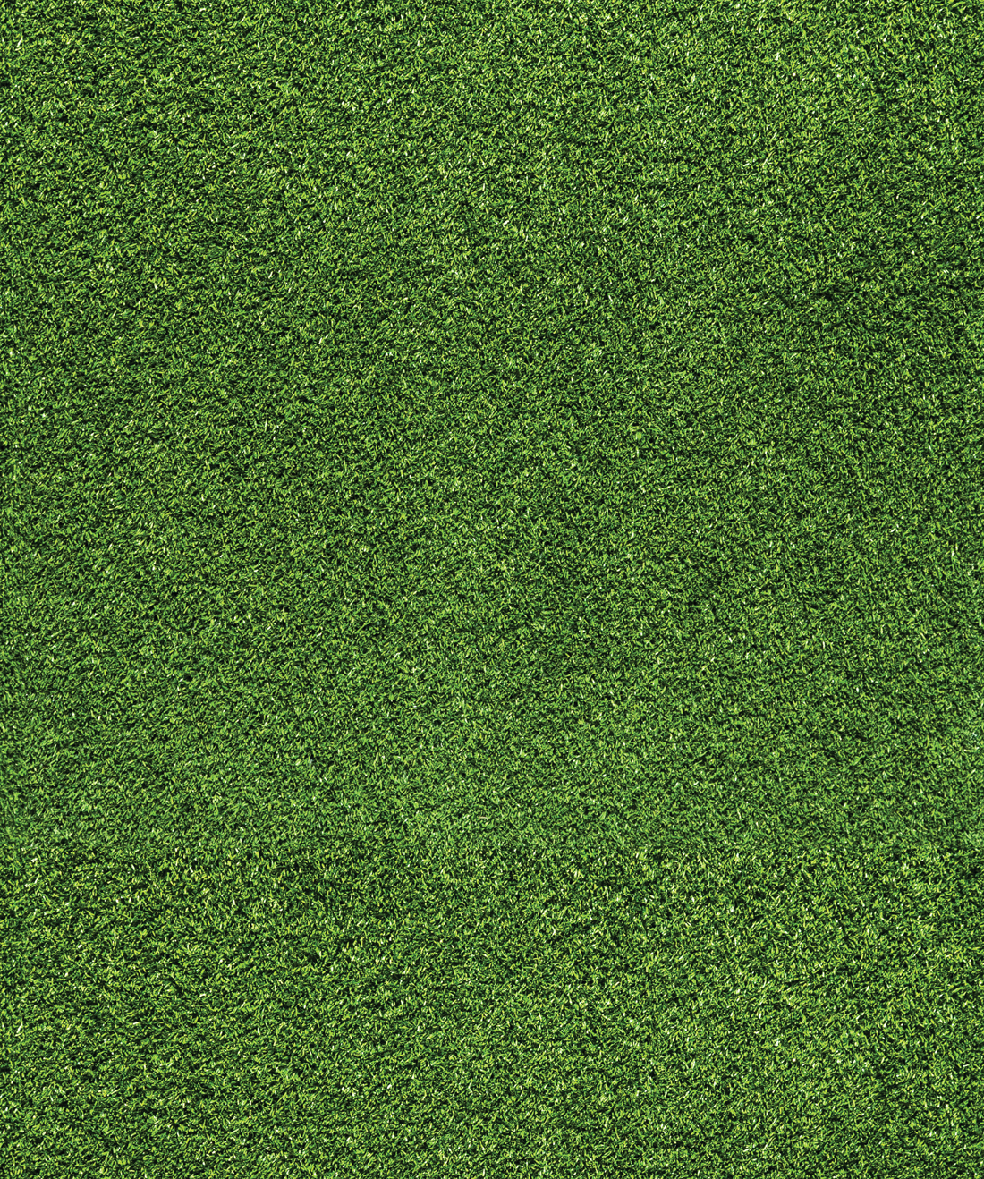 Artificial Turf Wallpaper • Fake Green Grass • Milton & King