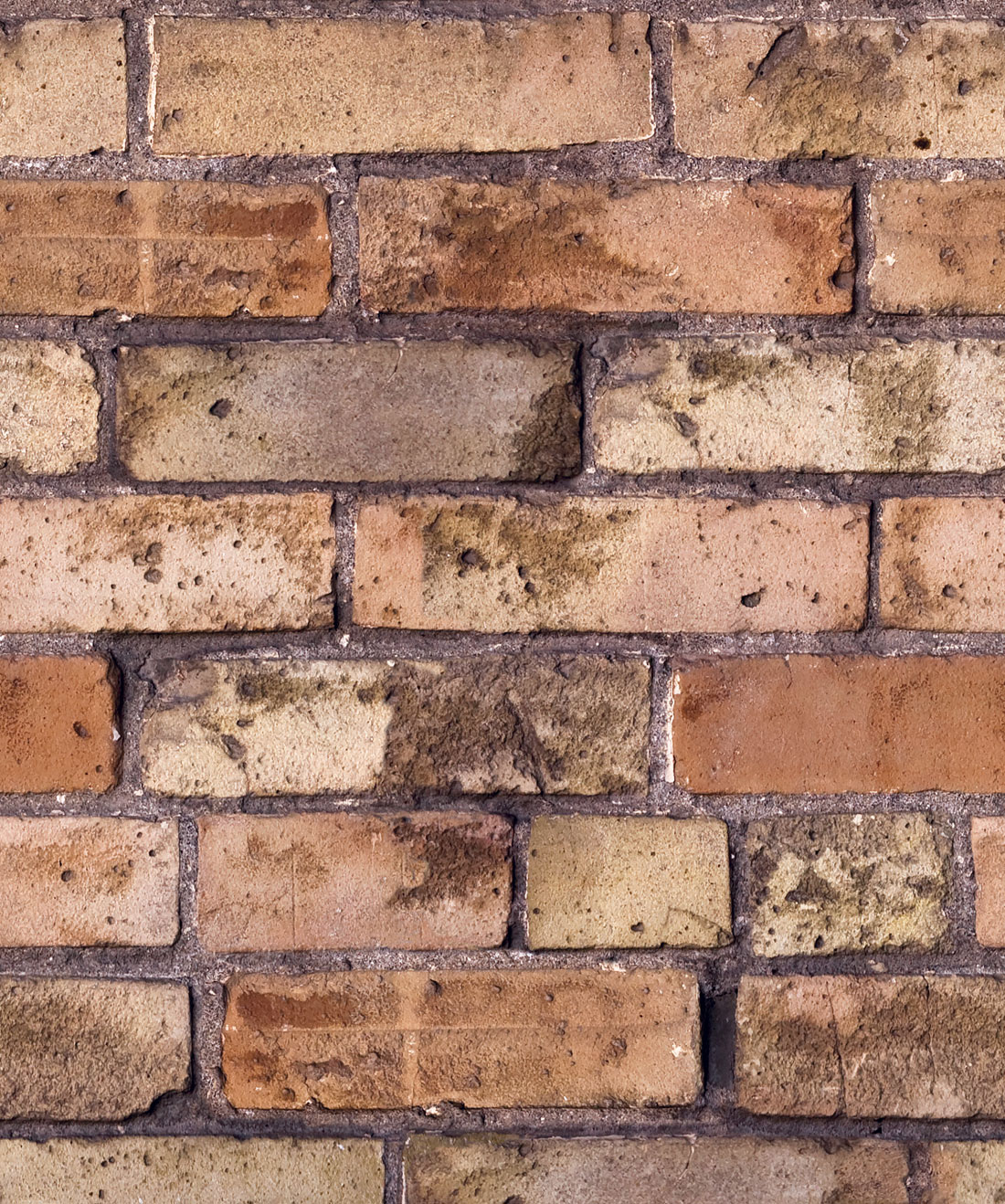 Lime Washed Bricks Wallpaper • Milton & King