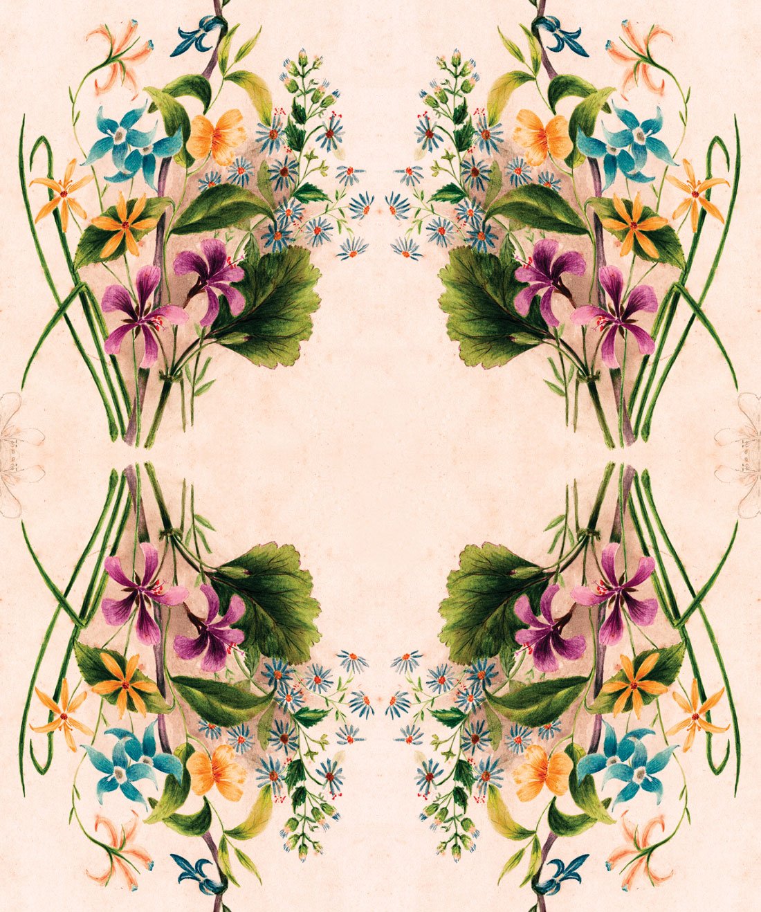 Euphemia 3 • Gorgeous Eclectic Floral Wallpaper • Milton & King