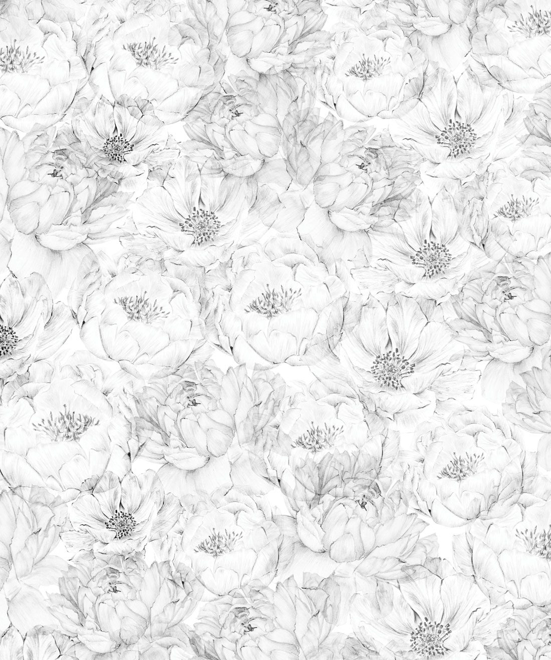 Top 93+ black and white peony wallpaper best