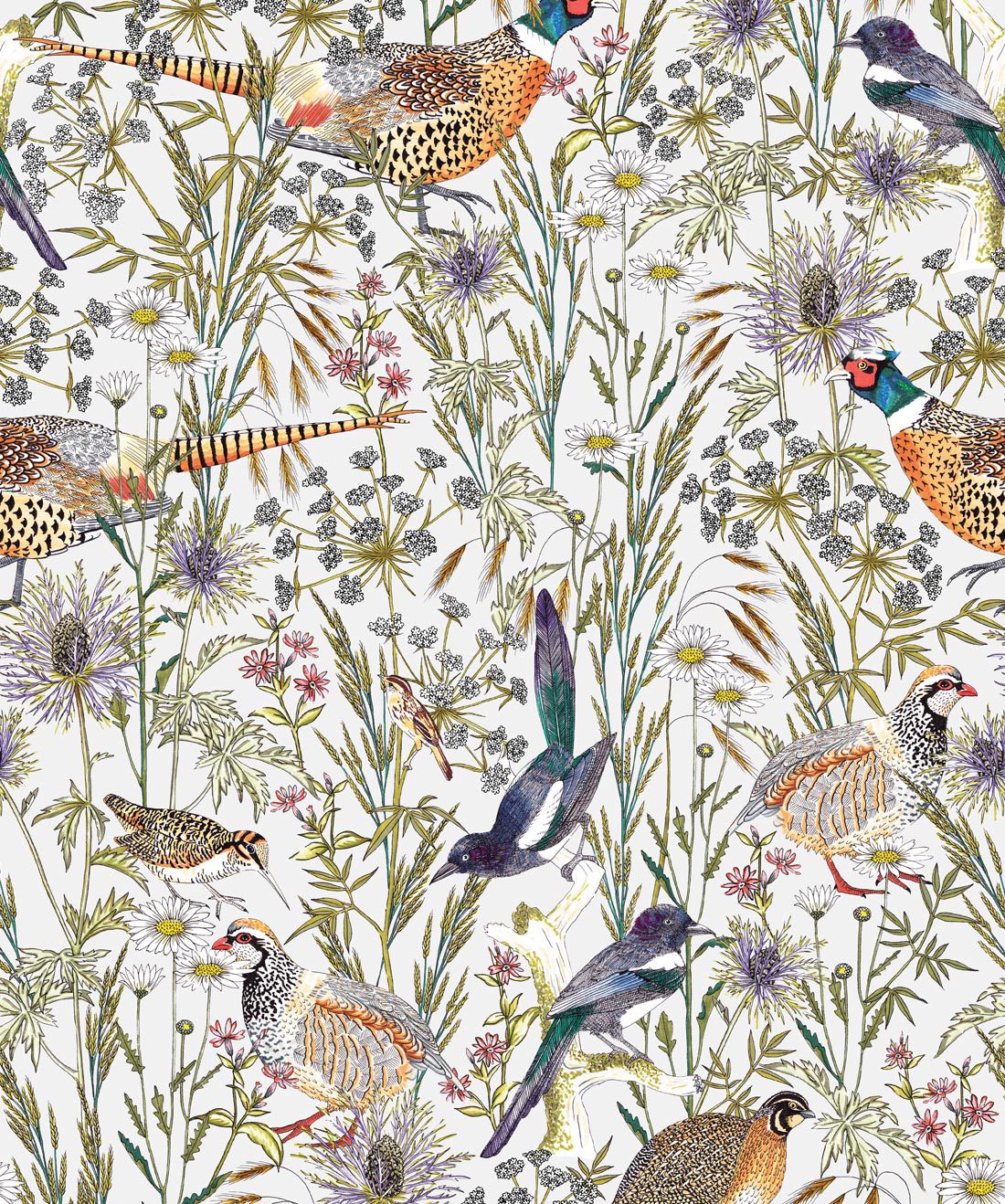 Catherine Martin by Mokum Imperial Pheasant Wallpaper Garnet  James Dunlop  Textiles