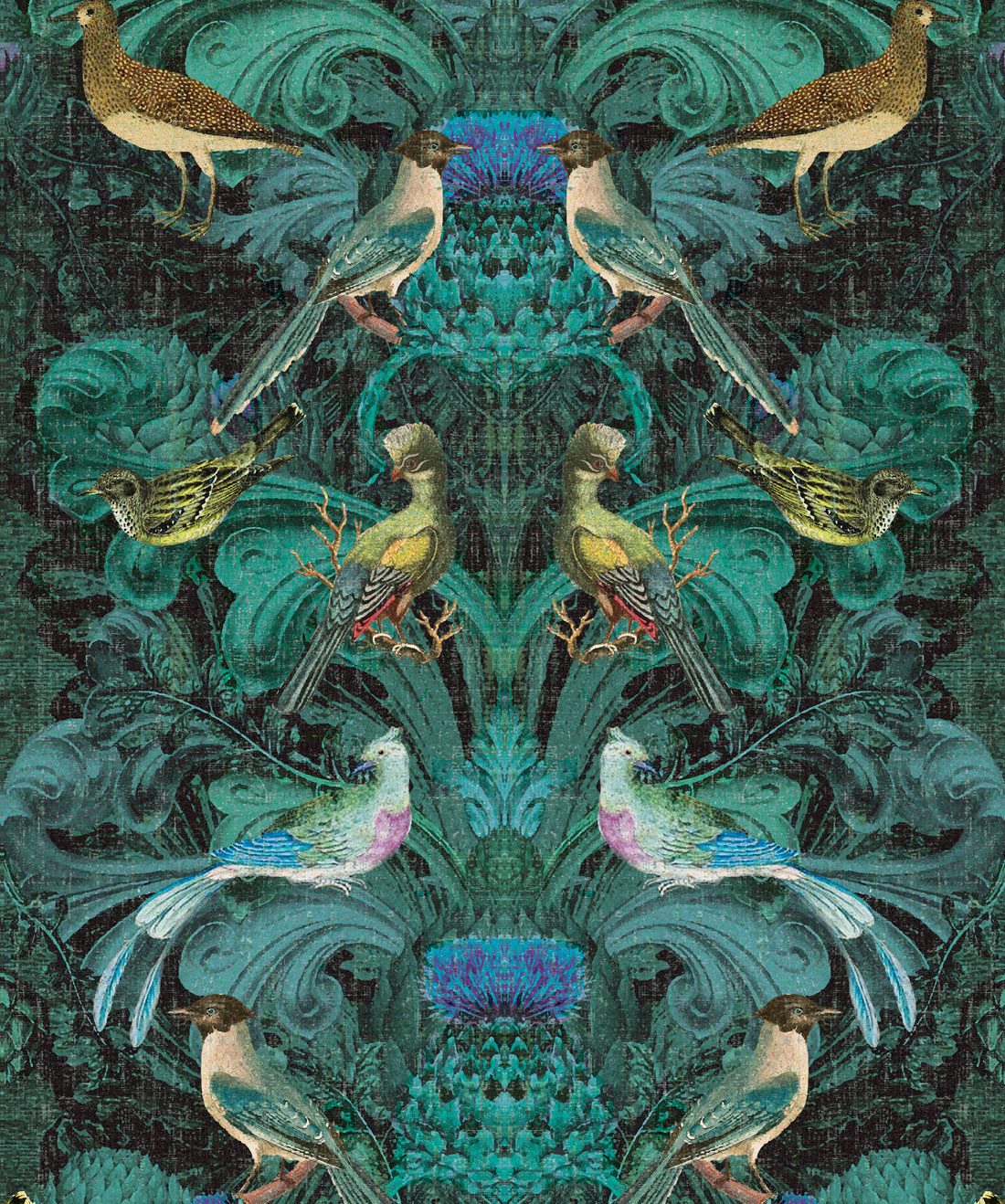 Beautiful Birdlife • Modern Baroque Wallpaper • Milton & King