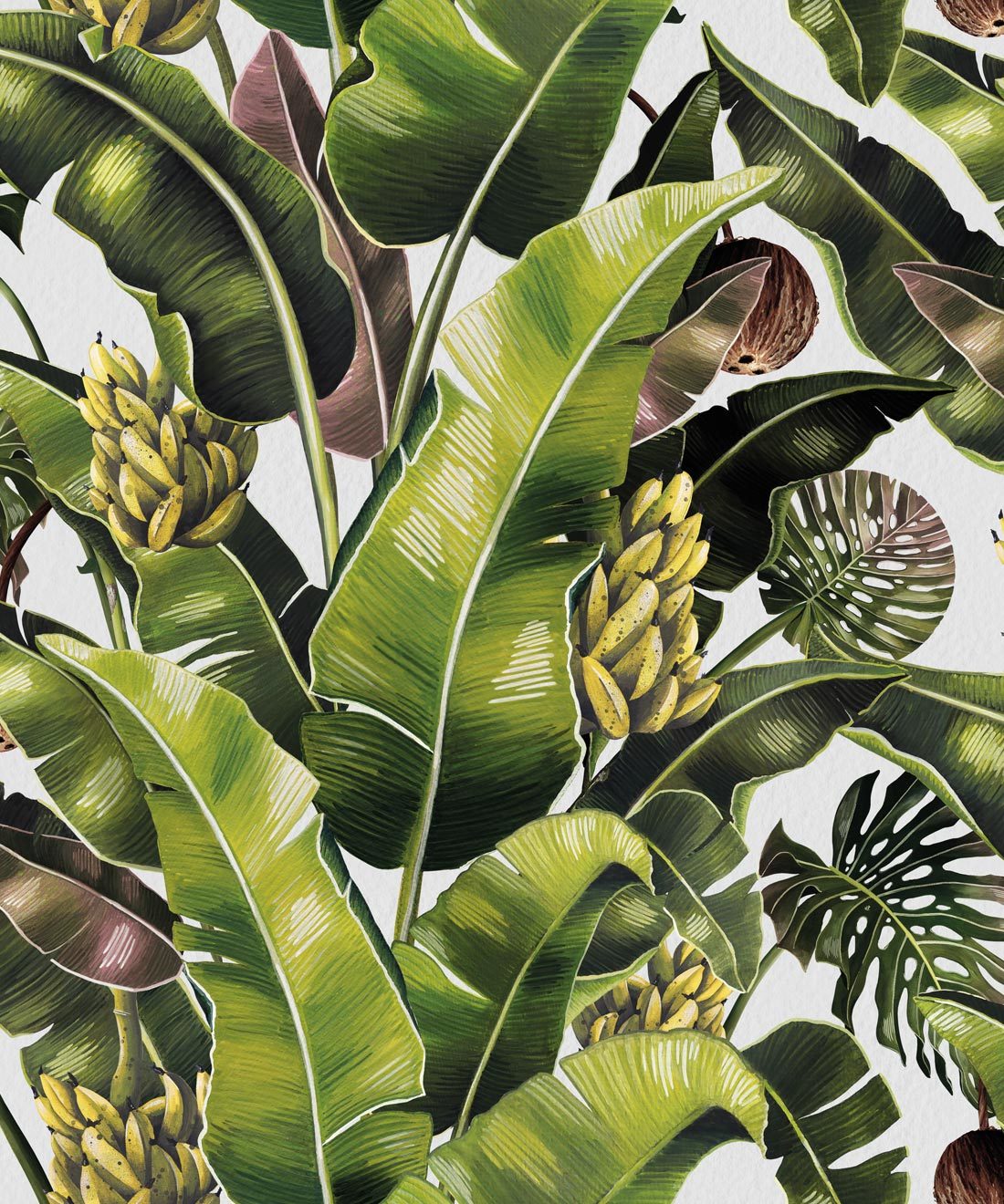 Kingdom Palm Wallpaper Banana Leaf Milton King