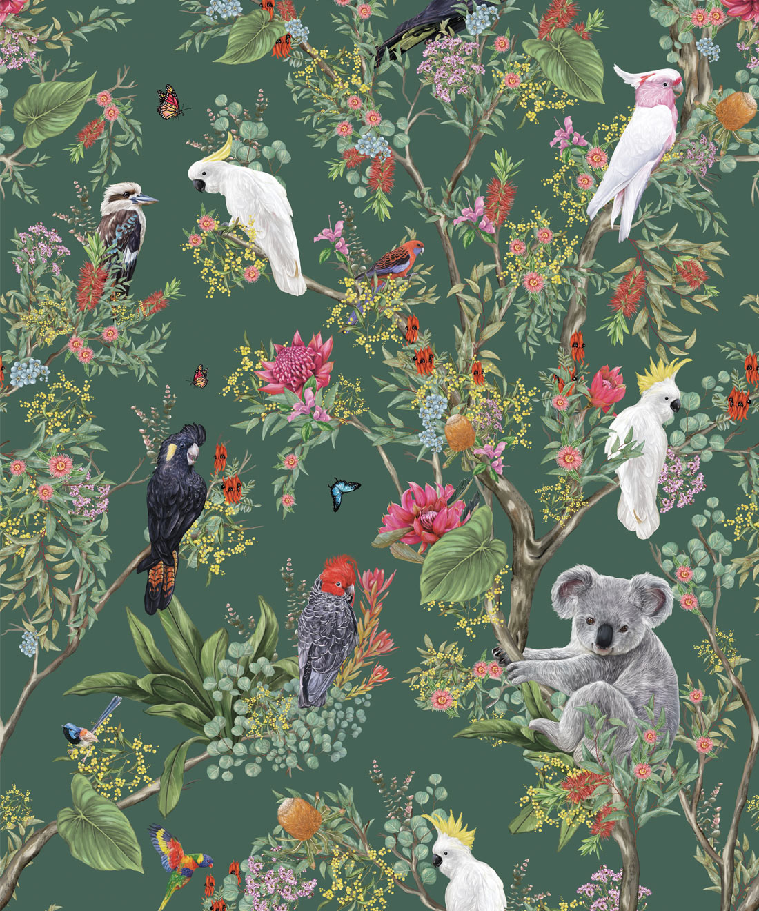 Australia Wallpaper • Koalas and Cockatoos • Milton & King USA