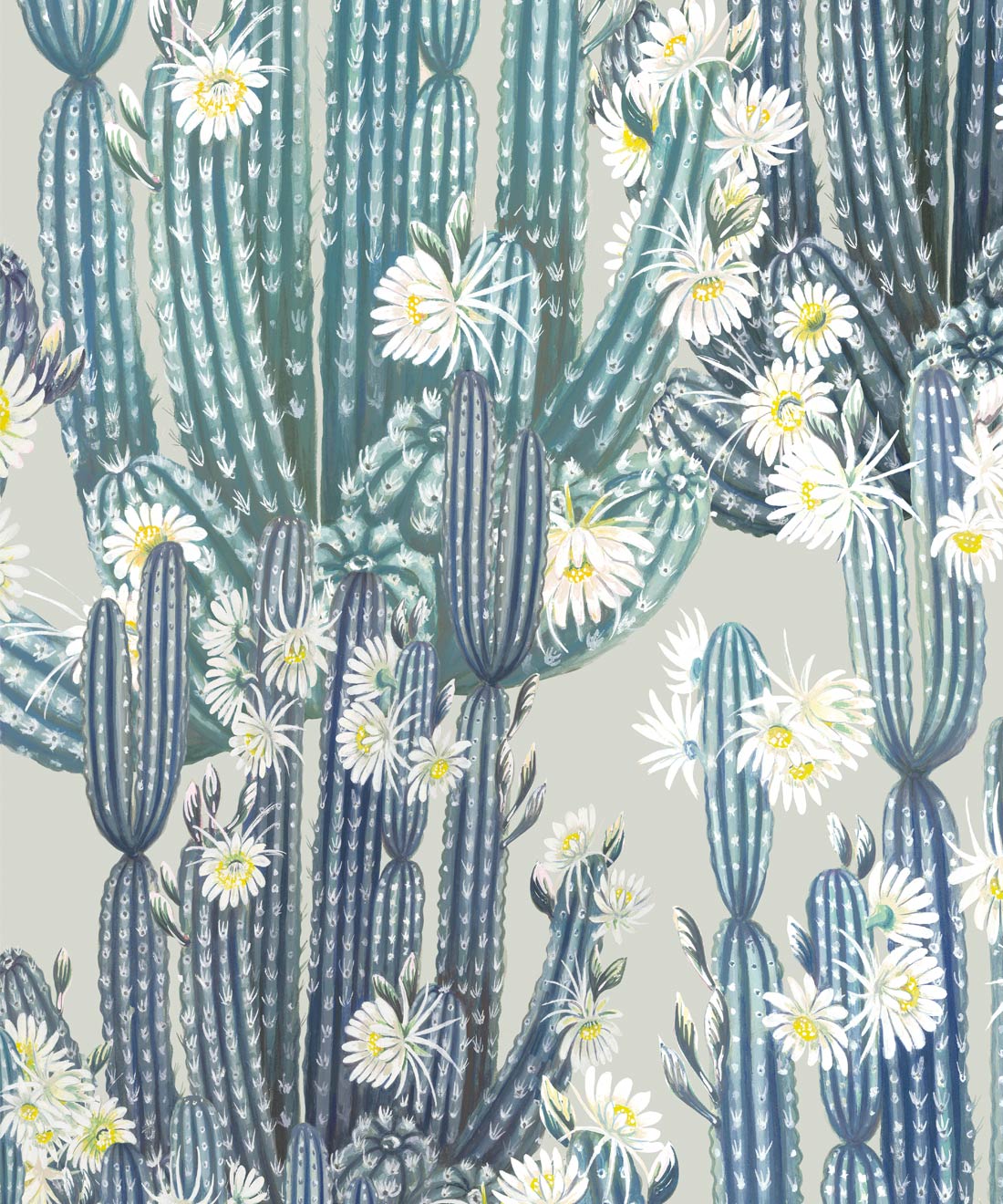 San Pedro Wallpaper • Cactus Wallpaper • Milton & King Australia