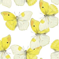 Blended Butterfly Wallpaper • White & Yellow Butterflies Wallpaper • Swatch