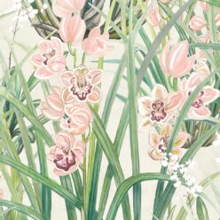 Garden Orchids Wallpaper • Beige • Swatch