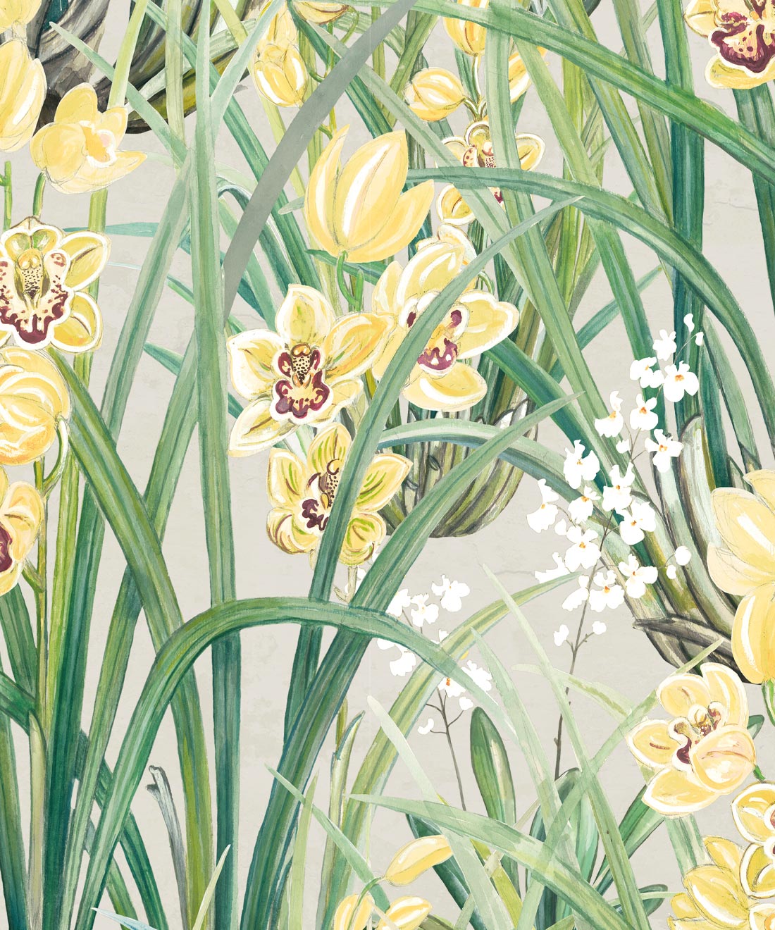Garden Orchids Wallpaper • Bethany Linz • Yellow • Swatch