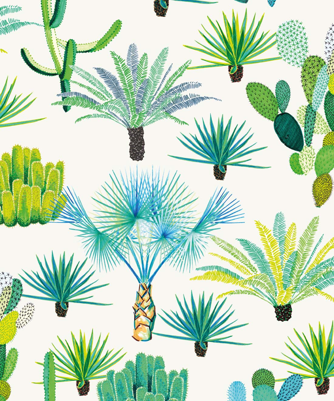 44000 Cactus Wallpaper Pictures