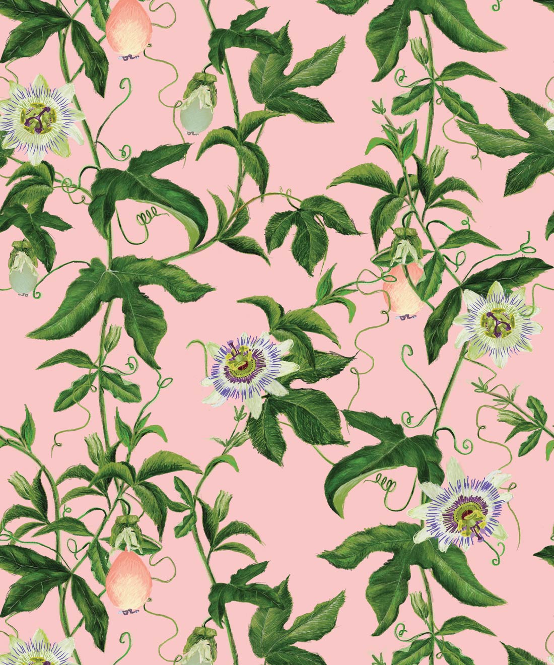 Passion Wallpaper • Floral Fruit Wallpaper by Kip&Co • Milton & King
