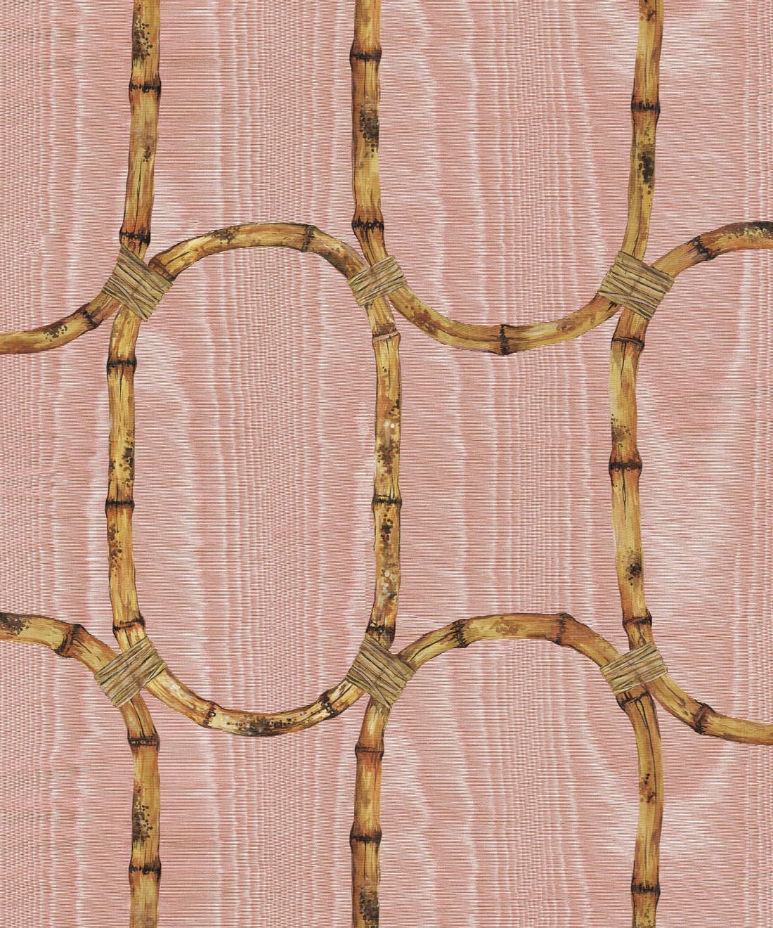 Tea Room Wallpaper • Poodle & Blonde • Blossom • Swatch