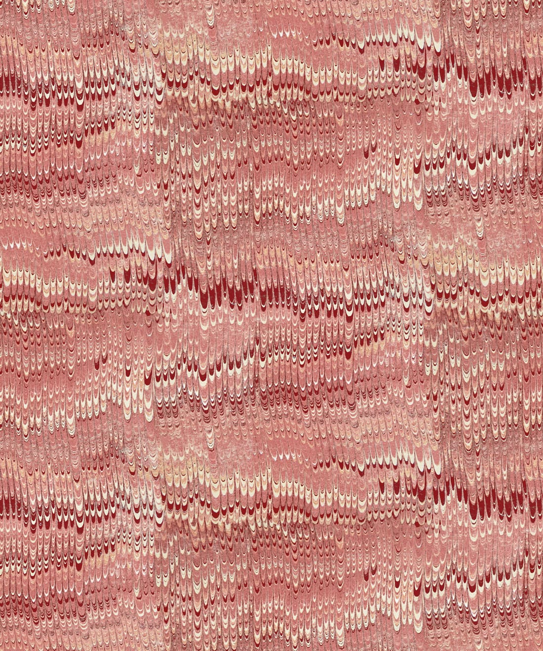 1970 Wallpaper • Poodle & Blonde • Rosa • Swatch
