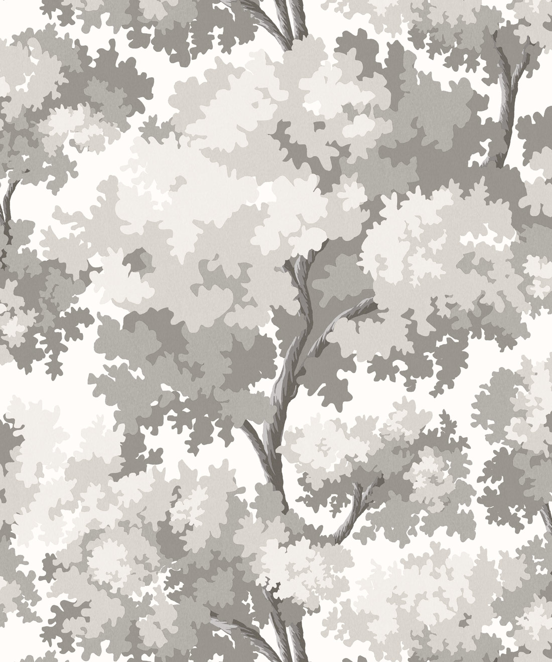 Great Oak Wallpaper • Milton & King Studio • Dove • Swatch
